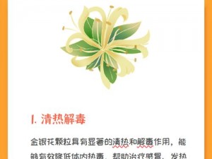 双金银花是一款非常实用的中药材，具有清热解毒、抗炎消肿等功效