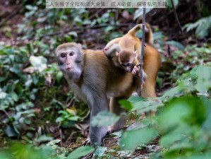 二人生猴子全程视频大全集：成人必备，探索私密乐趣