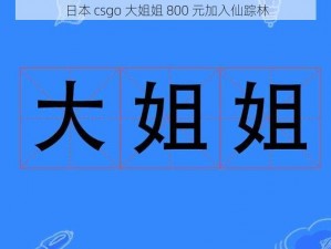 日本 csgo 大姐姐 800 元加入仙踪林