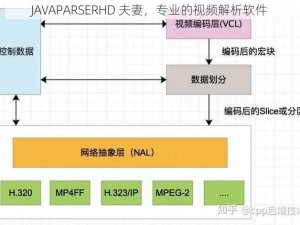 JAVAPARSERHD 夫妻，专业的视频解析软件