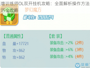 英雄训练师OL双开挂机攻略：全面解析操作方法与技巧全攻略