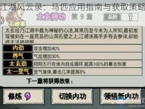 《江湖风云录：马匹应用指南与获取策略详解》