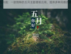 色五月图：一款独特的五月主题壁纸应用，提供多种风格的精美图片