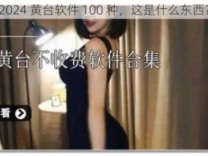 2024 黄台软件 100 种，这是什么东西？