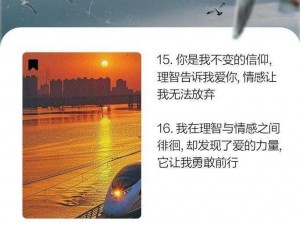 成长的理性 1994——记录成长，理性前行