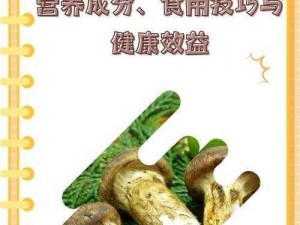 明日松茸美食探秘：创新食谱引领潮流，营养丰富的松茸料理大赏