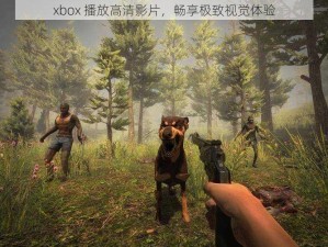 xbox 播放高清影片，畅享极致视觉体验