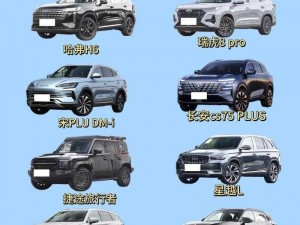 国产 SUV 精品一区二区四系列，高品质，高性价比，带给你全新驾乘体验