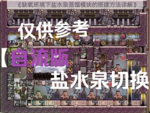 《缺氧环境下盐水泉蒸馏模块的搭建方法详解》