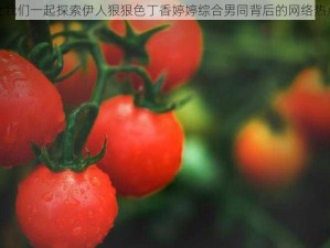 让我们一起探索伊人狠狠色丁香婷婷综合男同背后的网络热点