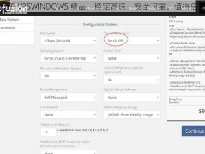 欧美 VPSWINDOWS 精品，稳定高速，安全可靠，值得信赖