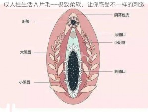 成人牲生活 A 片毛——极致柔软，让你感受不一样的刺激