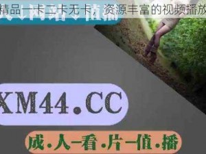 乱码精品一卡二卡无卡，资源丰富的视频播放神器