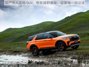 国产无人区码 SUV，极致越野体验，征服每一段征途