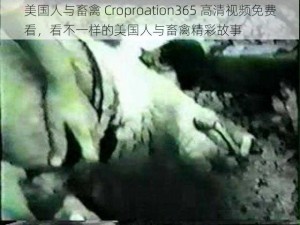 美国人与畜禽 Croproation365 高清视频免费看，看不一样的美国人与畜禽精彩故事