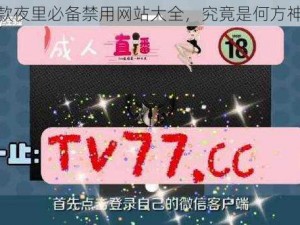 18 款夜里必备禁用网站大全，究竟是何方神圣？