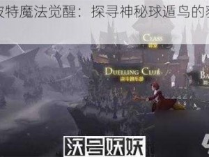 哈利波特魔法觉醒：探寻神秘球遁鸟的获取之路