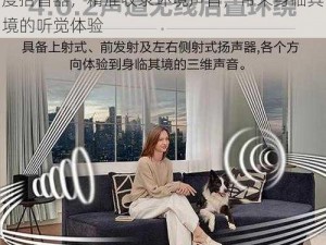 房子不隔音真实录音 mp3，采用高灵敏度拾音器，精准收录环境声音，带来身临其境的听觉体验