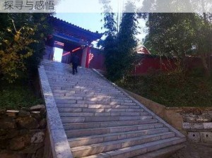 楚留香二月初五观象详解：少林塔林禅修之地探寻与感悟