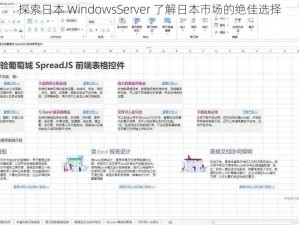 探索日本 WindowsServer 了解日本市场的绝佳选择