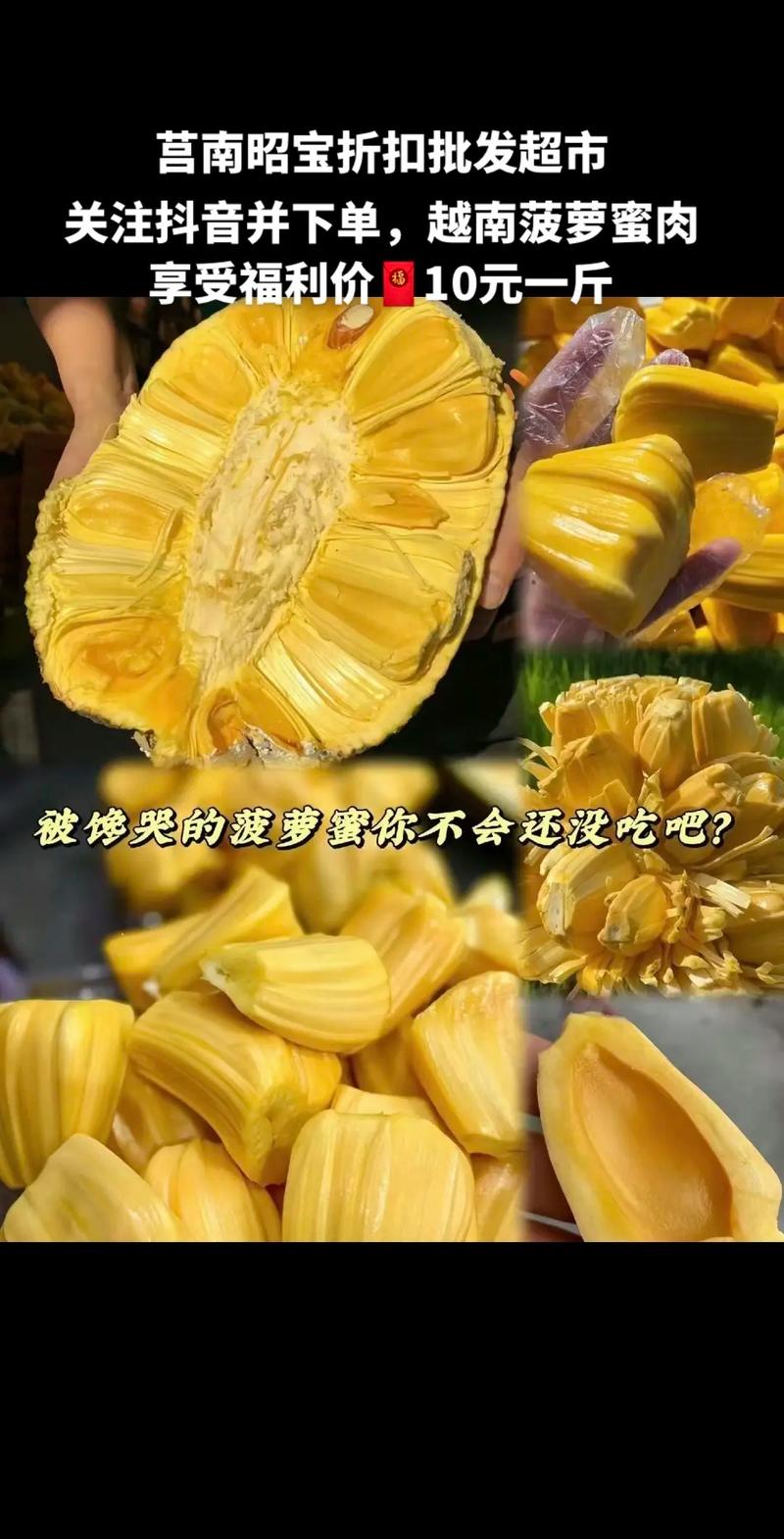 菠萝菠萝蜜高清视频免费看，精彩内容不断，无广告干扰，让你一次看个够