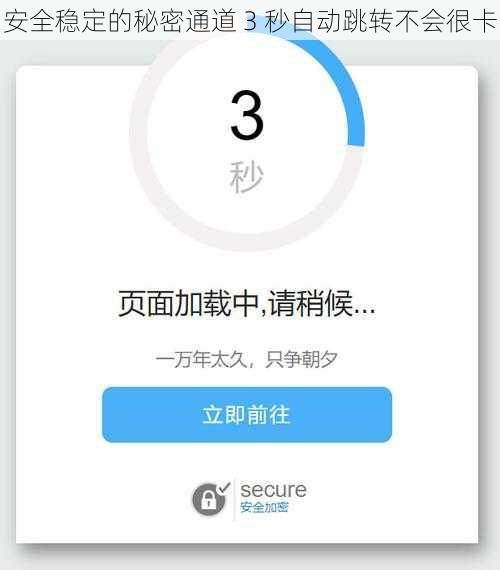 安全稳定的秘密通道 3 秒自动跳转不会很卡