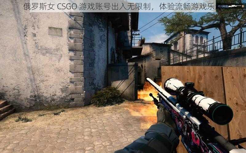 俄罗斯女 CSGO 游戏账号出入无限制，体验流畅游戏乐趣