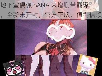 地下室偶像 SANA 未增删带翻译，全新未开封，官方正版，值得信赖