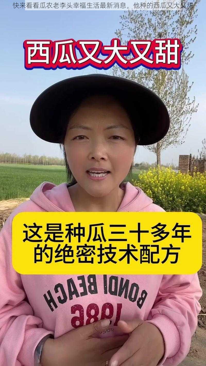 快来看看瓜农老李头幸福生活最新消息，他种的西瓜又大又甜