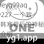 oneyg99aqqv227 一个致敬韩寒背后的神秘产品介绍