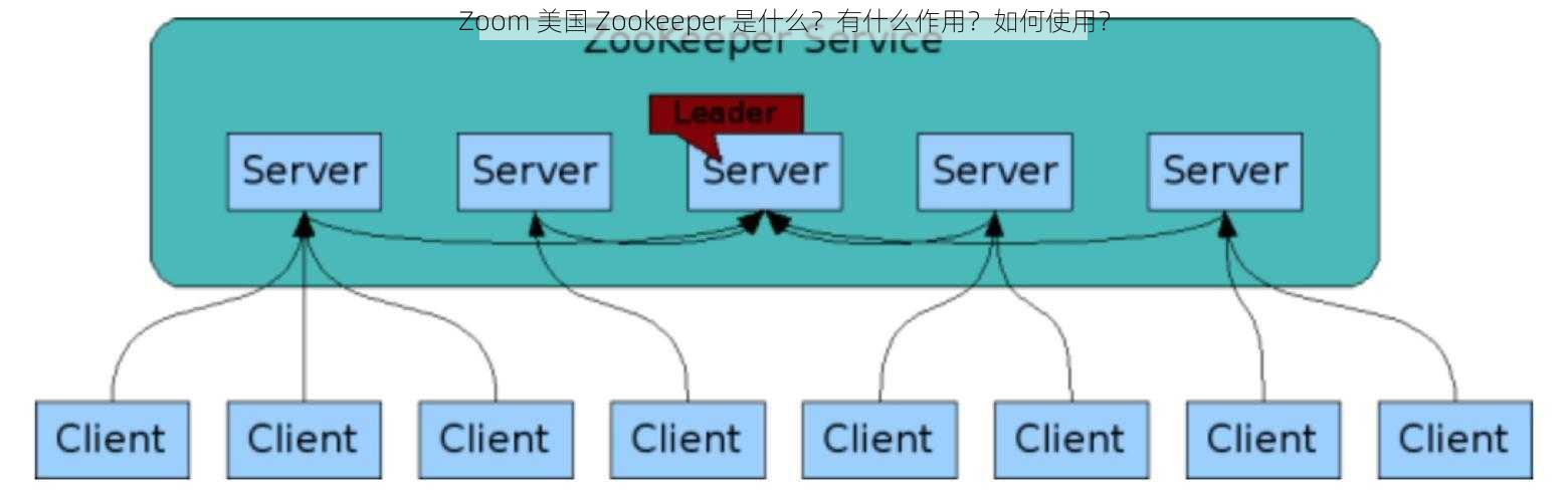 Zoom 美国 Zookeeper 是什么？有什么作用？如何使用？