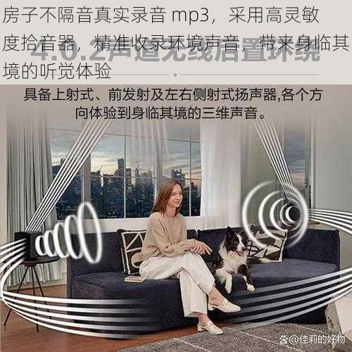 房子不隔音真实录音 mp3，采用高灵敏度拾音器，精准收录环境声音，带来身临其境的听觉体验