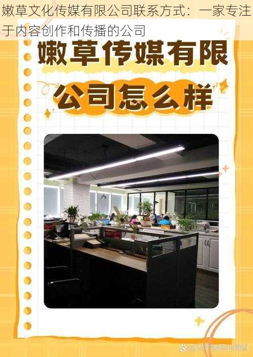 嫩草文化传媒有限公司联系方式：一家专注于内容创作和传播的公司