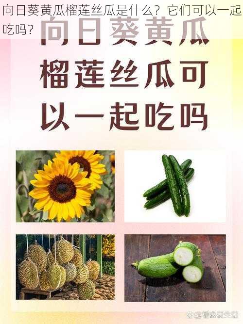 向日葵黄瓜榴莲丝瓜是什么？它们可以一起吃吗？