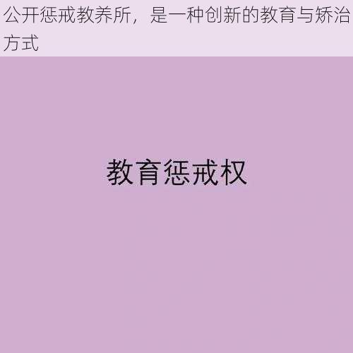 公开惩戒教养所，是一种创新的教育与矫治方式