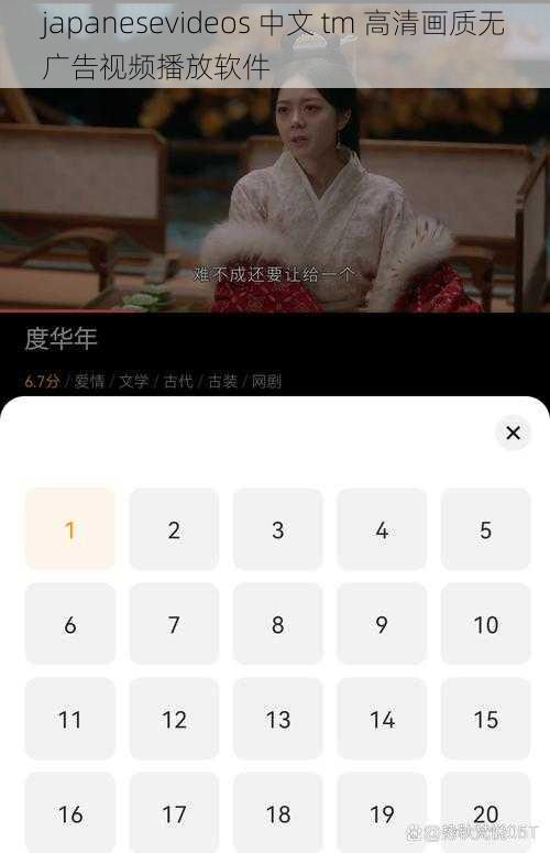 japanesevideos 中文 tm 高清画质无广告视频播放软件