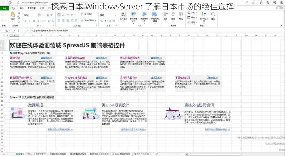 探索日本 WindowsServer 了解日本市场的绝佳选择