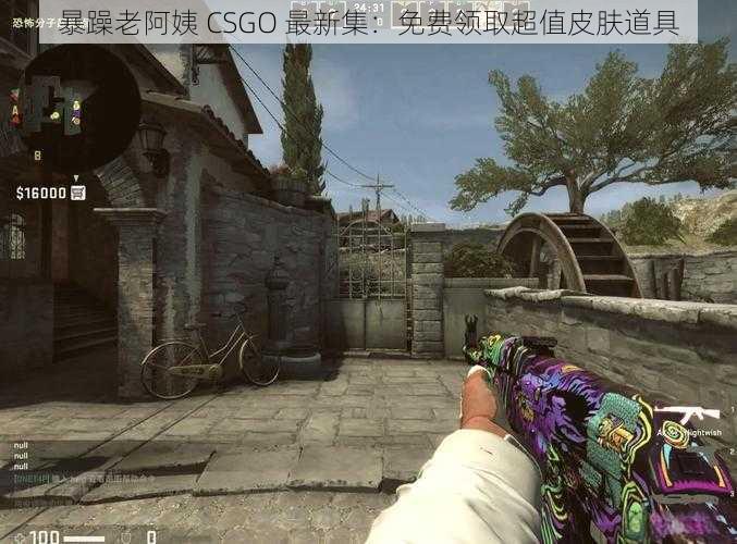 暴躁老阿姨 CSGO 最新集：免费领取超值皮肤道具