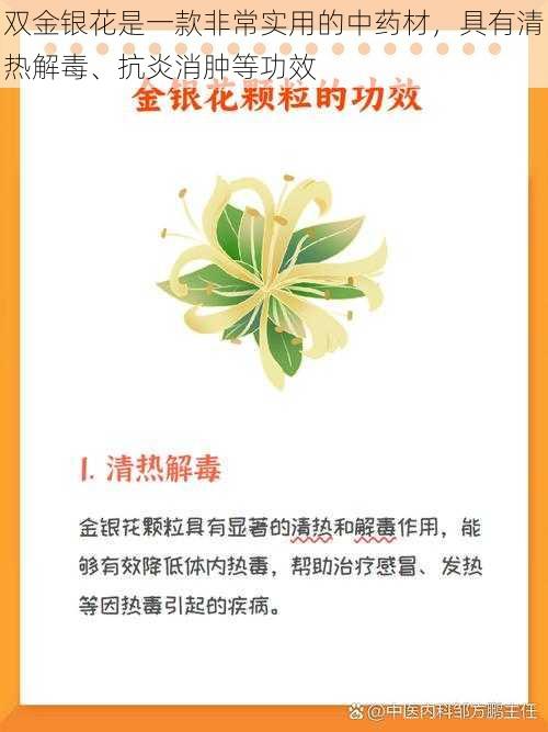 双金银花是一款非常实用的中药材，具有清热解毒、抗炎消肿等功效