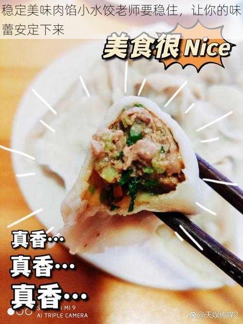 稳定美味肉馅小水饺老师要稳住，让你的味蕾安定下来