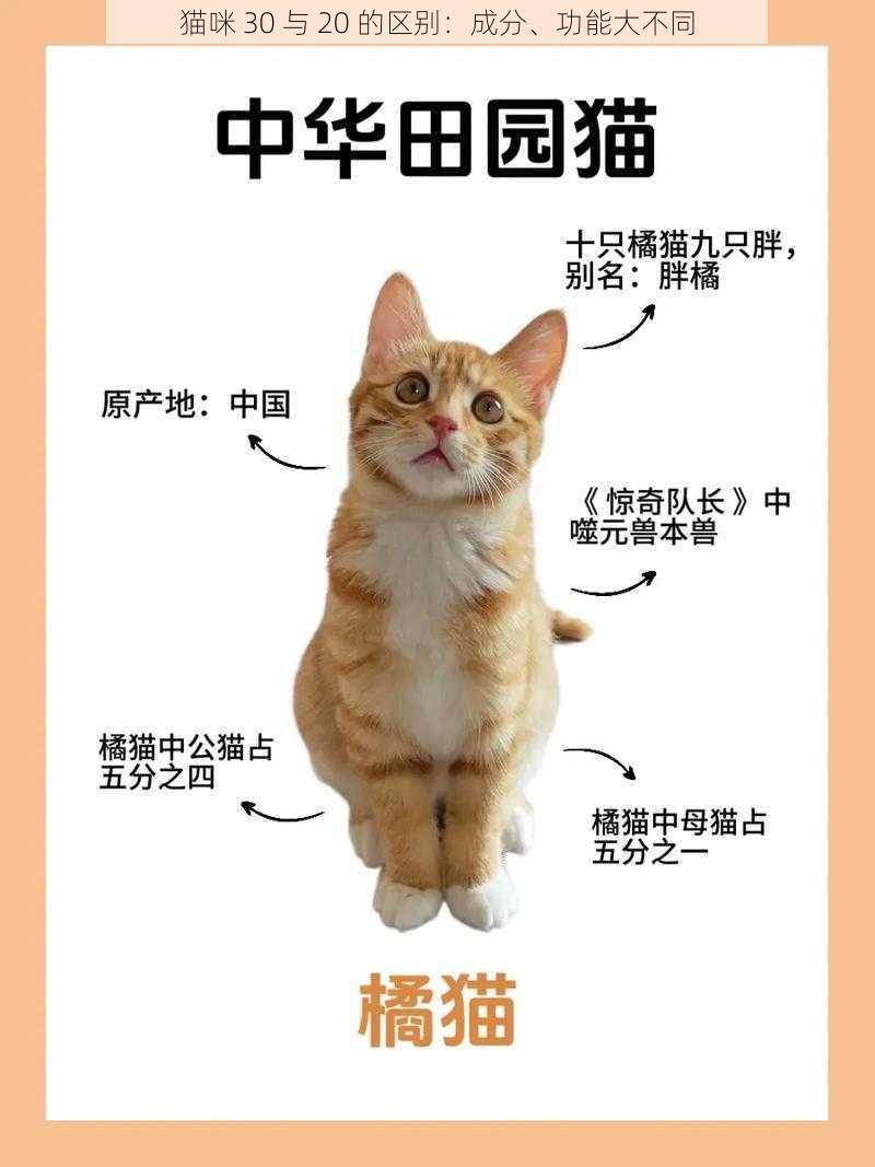 猫咪 30 与 20 的区别：成分、功能大不同