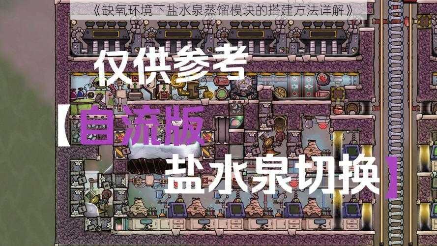 《缺氧环境下盐水泉蒸馏模块的搭建方法详解》