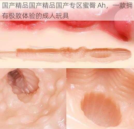 国产精品国产精品国产专区蜜臀 Ah，一款拥有极致体验的成人玩具