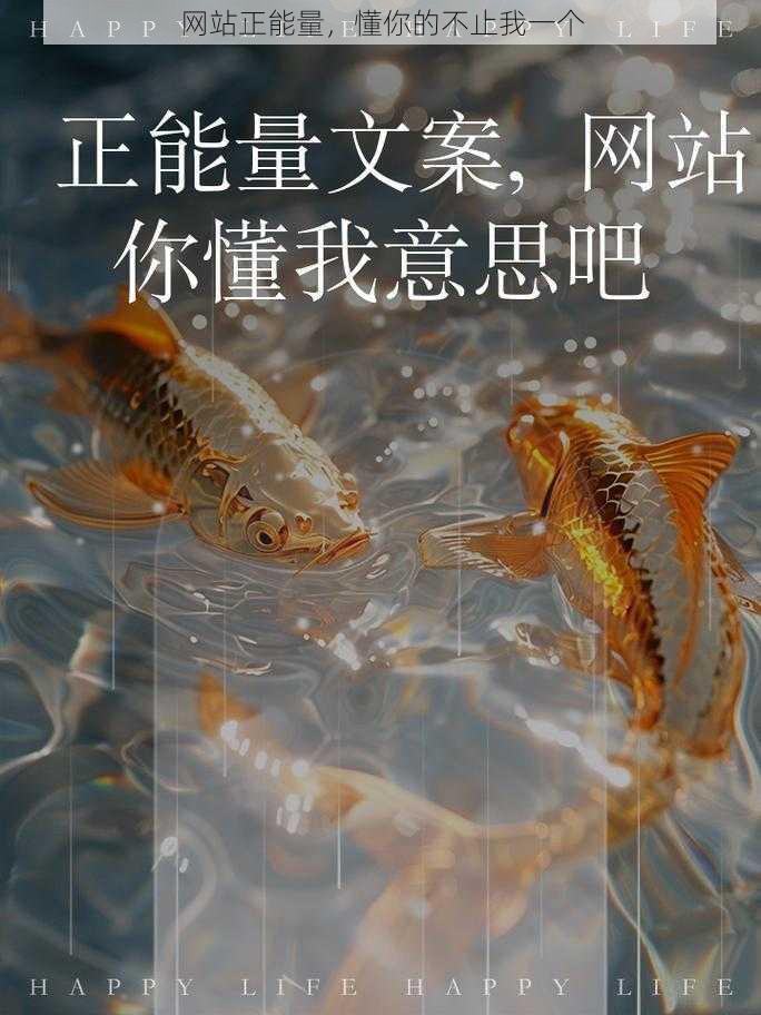 网站正能量，懂你的不止我一个