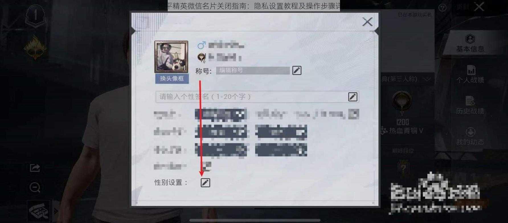 和平精英微信名片关闭指南：隐私设置教程及操作步骤详解