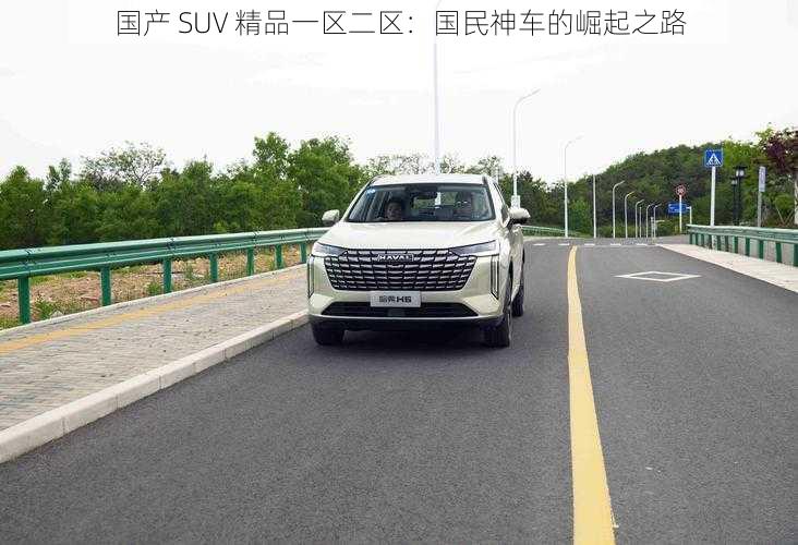 国产 SUV 精品一区二区：国民神车的崛起之路