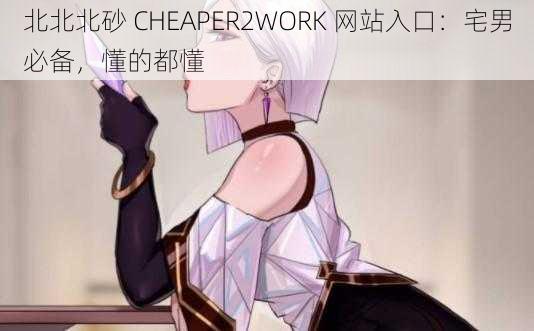 北北北砂 CHEAPER2WORK 网站入口：宅男必备，懂的都懂