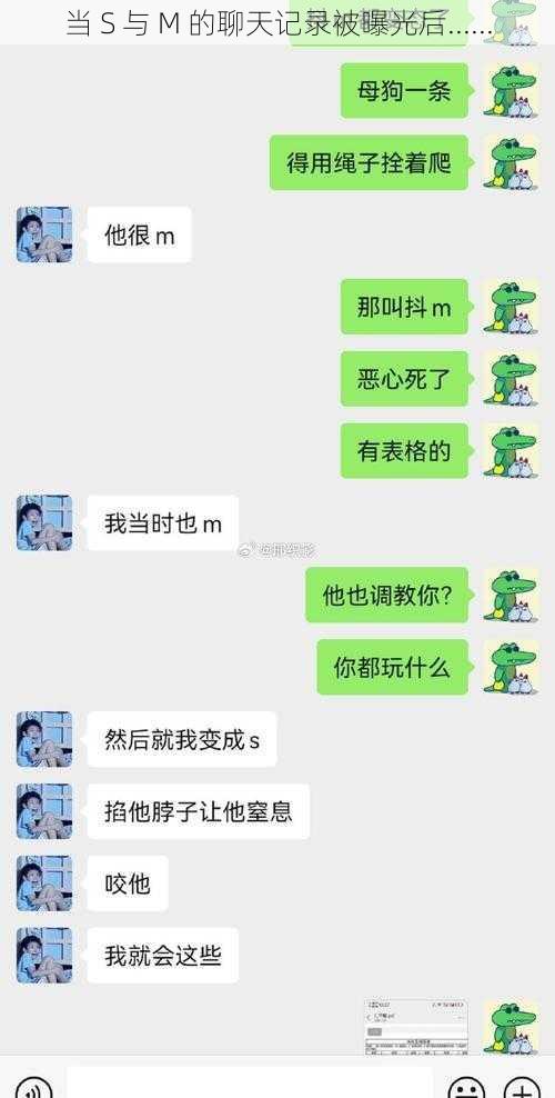 当 S 与 M 的聊天记录被曝光后......