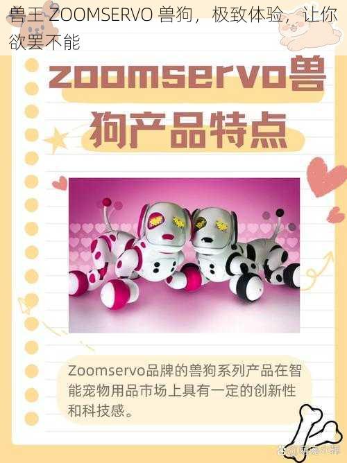 兽王 ZOOMSERVO 兽狗，极致体验，让你欲罢不能