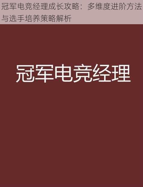 冠军电竞经理成长攻略：多维度进阶方法与选手培养策略解析